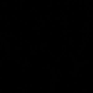 Meet your Posher, Jack